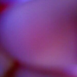 Meet your Posher, Martha